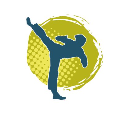 Dövüş sanatları pozu veren bir erkeğin silueti. Dövüş sanatları ustasının silueti tekme atma pozu veriyor..