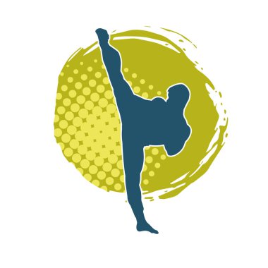 Dövüş sanatları pozu veren bir erkeğin silueti. Dövüş sanatları ustasının silueti tekme atma pozu veriyor..