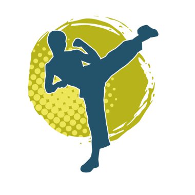 Dövüş sanatları pozu veren bir erkeğin silueti. Dövüş sanatları ustasının silueti tekme atma pozu veriyor..