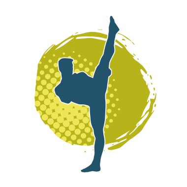 Dövüş sanatları pozu veren bir erkeğin silueti. Dövüş sanatları ustasının silueti tekme atma pozu veriyor..