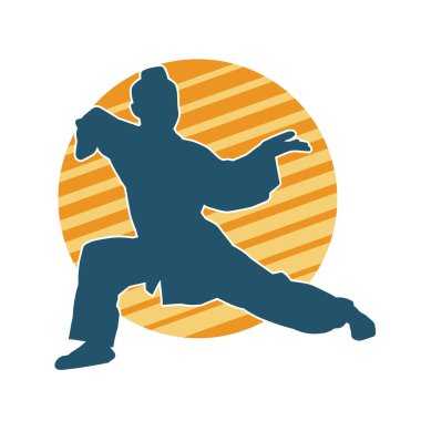 Dövüş sanatları yapan zayıf bir kadının silueti. Dövüş sanatlarında çalışan bir kadının silueti..