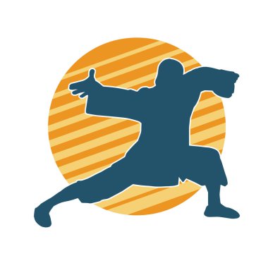 Doğu dövüş sanatı pozu veren bir adamın silueti. Dövüş sanatlarında bir erkeğin silueti..