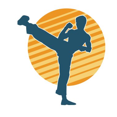 Dövüş sanatları pozu veren bir erkeğin silueti. Dövüş sanatları ustasının silueti tekme atma pozu veriyor..