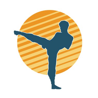 Dövüş sanatları pozu veren bir erkeğin silueti. Dövüş sanatları ustasının silueti tekme atma pozu veriyor..