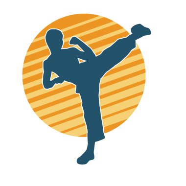 Dövüş sanatları pozu veren bir erkeğin silueti. Dövüş sanatları ustasının silueti tekme atma pozu veriyor..