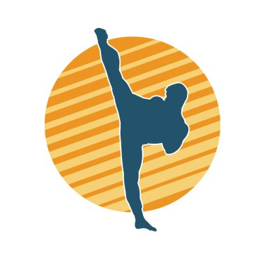 Dövüş sanatları pozu veren bir erkeğin silueti. Dövüş sanatları ustasının silueti tekme atma pozu veriyor..