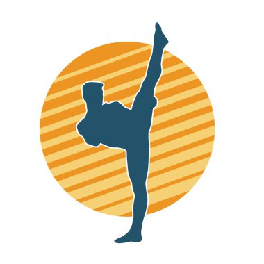 Dövüş sanatları pozu veren bir erkeğin silueti. Dövüş sanatları ustasının silueti tekme atma pozu veriyor..