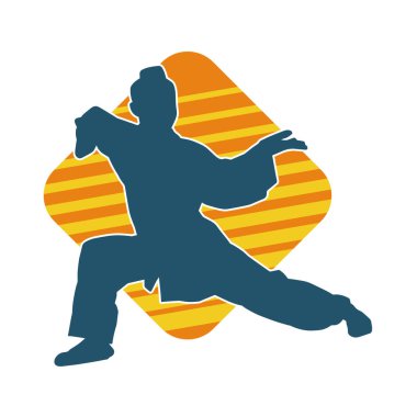 Dövüş sanatları yapan zayıf bir kadının silueti. Dövüş sanatlarında çalışan bir kadının silueti..