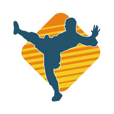 Dövüş sanatları pozu veren bir erkeğin silueti. Dövüş sanatları ustasının silueti tekme atma pozu veriyor..