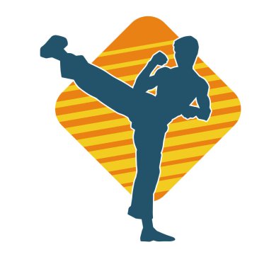 Dövüş sanatları pozu veren bir erkeğin silueti. Dövüş sanatları ustasının silueti tekme atma pozu veriyor..