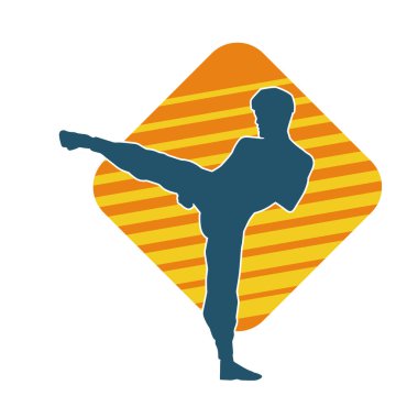 Dövüş sanatları pozu veren bir erkeğin silueti. Dövüş sanatları ustasının silueti tekme atma pozu veriyor..