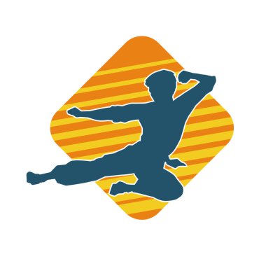 Dövüş sanatları pozu veren bir erkeğin silueti. Dövüş sanatları ustasının silueti tekme atma pozu veriyor..