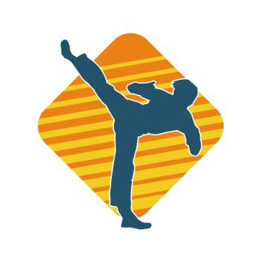 Dövüş sanatları pozu veren bir erkeğin silueti. Dövüş sanatları ustasının silueti tekme atma pozu veriyor..