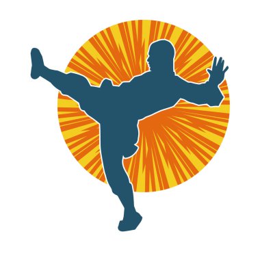 Dövüş sanatları pozu veren bir erkeğin silueti. Dövüş sanatları ustasının silueti tekme atma pozu veriyor..