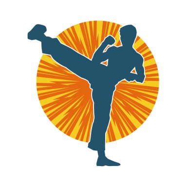 Dövüş sanatları pozu veren bir erkeğin silueti. Dövüş sanatları ustasının silueti tekme atma pozu veriyor..