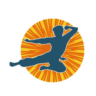 Dövüş sanatları pozu veren bir erkeğin silueti. Dövüş sanatları ustasının silueti tekme atma pozu veriyor..