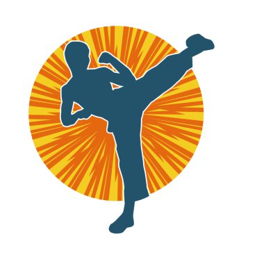 Dövüş sanatları pozu veren bir erkeğin silueti. Dövüş sanatları ustasının silueti tekme atma pozu veriyor..