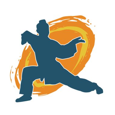 Dövüş sanatları yapan zayıf bir kadının silueti. Dövüş sanatlarında çalışan bir kadının silueti..