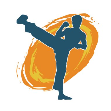 Dövüş sanatları pozu veren bir erkeğin silueti. Dövüş sanatları ustasının silueti tekme atma pozu veriyor..