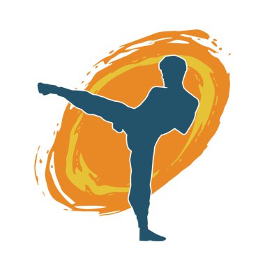 Dövüş sanatları pozu veren bir erkeğin silueti. Dövüş sanatları ustasının silueti tekme atma pozu veriyor..