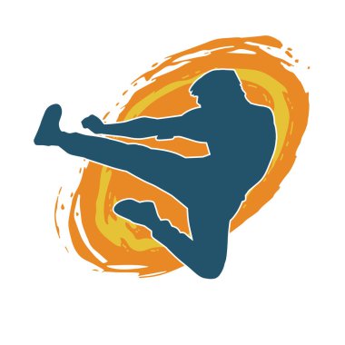 Dövüş sanatları pozu veren bir erkeğin silueti. Dövüş sanatları ustasının silueti tekme atma pozu veriyor..