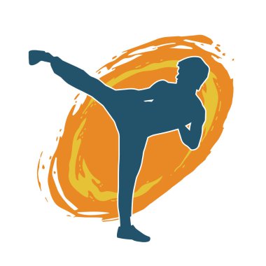 Dövüş sanatları pozu veren bir erkeğin silueti. Dövüş sanatları ustasının silueti tekme atma pozu veriyor..