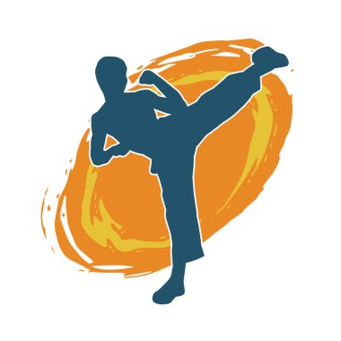 Dövüş sanatları pozu veren bir erkeğin silueti. Dövüş sanatları ustasının silueti tekme atma pozu veriyor..