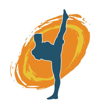 Dövüş sanatları pozu veren bir erkeğin silueti. Dövüş sanatları ustasının silueti tekme atma pozu veriyor..