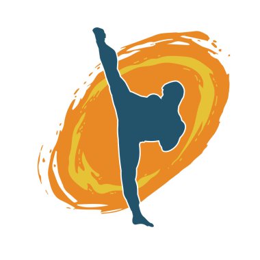 Dövüş sanatları pozu veren bir erkeğin silueti. Dövüş sanatları ustasının silueti tekme atma pozu veriyor..