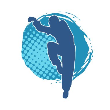 Doğu dövüş sanatı pozu veren bir adamın silueti. Dövüş sanatlarında bir erkeğin silueti..