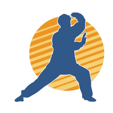 Doğu dövüş sanatı pozu veren bir adamın silueti. Dövüş sanatlarında bir erkeğin silueti..