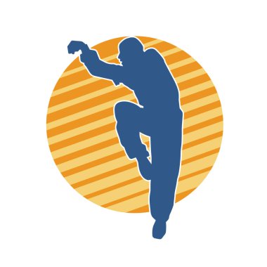 Doğu dövüş sanatı pozu veren bir adamın silueti. Dövüş sanatlarında bir erkeğin silueti..