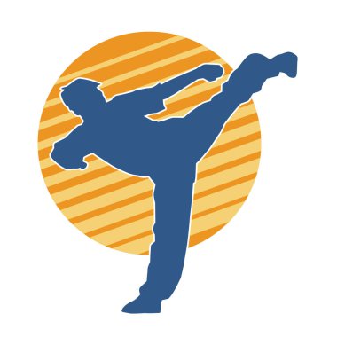 Dövüş sanatları tekmesi pozu veren bir erkek modelin silueti. Dövüş sanatlarının silueti..