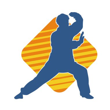 Doğu dövüş sanatı pozu veren bir adamın silueti. Dövüş sanatlarında bir erkeğin silueti..