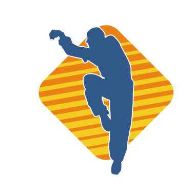 Doğu dövüş sanatı pozu veren bir adamın silueti. Dövüş sanatlarında bir erkeğin silueti..