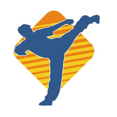 Dövüş sanatları tekmesi pozu veren bir erkek modelin silueti. Dövüş sanatlarının silueti..