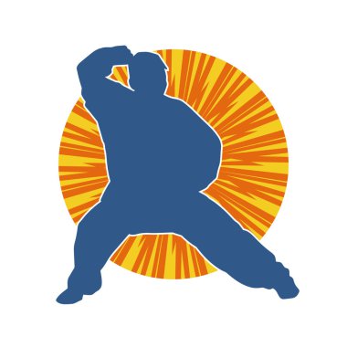 Doğu dövüş sanatı pozu veren bir adamın silueti. Dövüş sanatlarında bir erkeğin silueti..