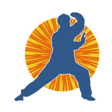 Doğu dövüş sanatı pozu veren bir adamın silueti. Dövüş sanatlarında bir erkeğin silueti..