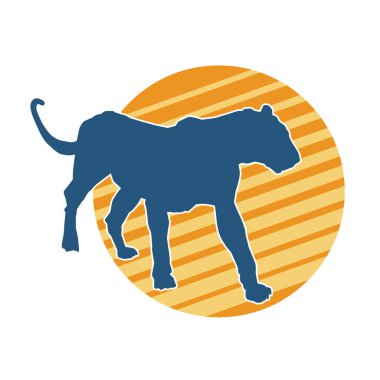 Vahşi bir ormanın silueti. Büyük kedi yürüyüşü. Beyaz arka planda izole bir poz..