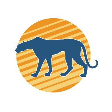 Vahşi bir ormanın silueti. Büyük kedi yürüyüşü. Beyaz arka planda izole bir poz..