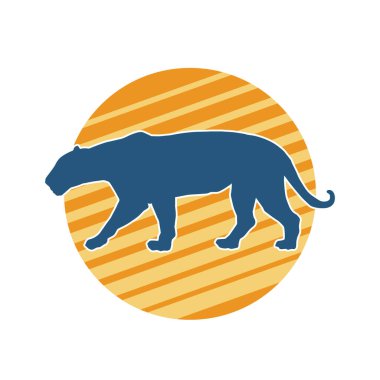 Vahşi bir ormanın silueti. Büyük kedi yürüyüşü. Beyaz arka planda izole bir poz..