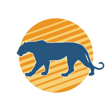 Vahşi bir ormanın silueti. Büyük kedi yürüyüşü. Beyaz arka planda izole bir poz..