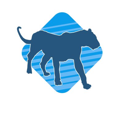 Vahşi bir ormanın silueti. Büyük kedi yürüyüşü. Beyaz arka planda izole bir poz..