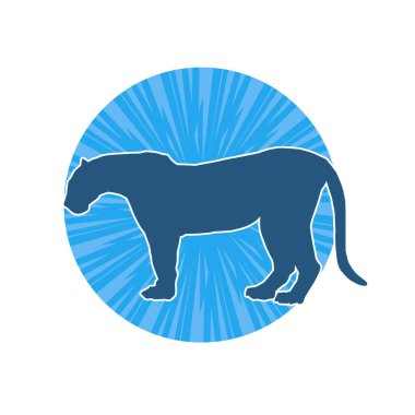 Vahşi bir ormanın silueti. Büyük kedi yürüyüşü. Beyaz arka planda izole bir poz..