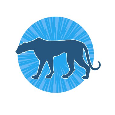 Vahşi bir ormanın silueti. Büyük kedi yürüyüşü. Beyaz arka planda izole bir poz..