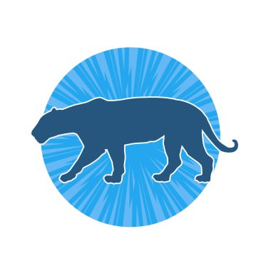 Vahşi bir ormanın silueti. Büyük kedi yürüyüşü. Beyaz arka planda izole bir poz..