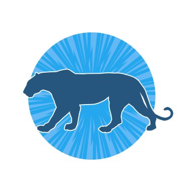 Vahşi bir ormanın silueti. Büyük kedi yürüyüşü. Beyaz arka planda izole bir poz..