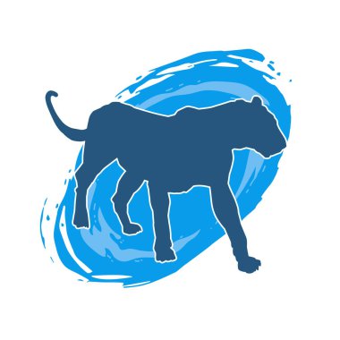 Vahşi bir ormanın silueti. Büyük kedi yürüyüşü. Beyaz arka planda izole bir poz..