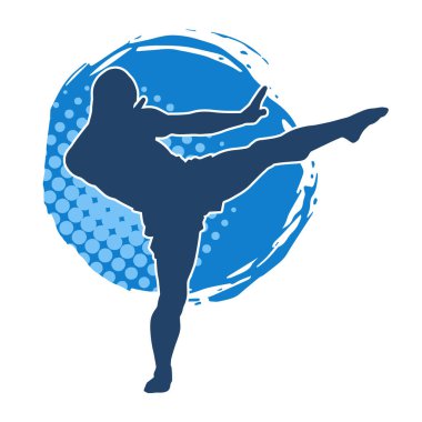 Dövüş sanatları tekmesi pozu veren bir erkek modelin silueti. Dövüş sanatlarının silueti..