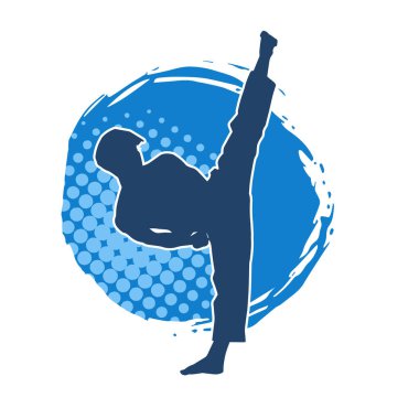 Dövüş sanatları tekmesi pozu veren bir erkek modelin silueti. Dövüş sanatlarının silueti..